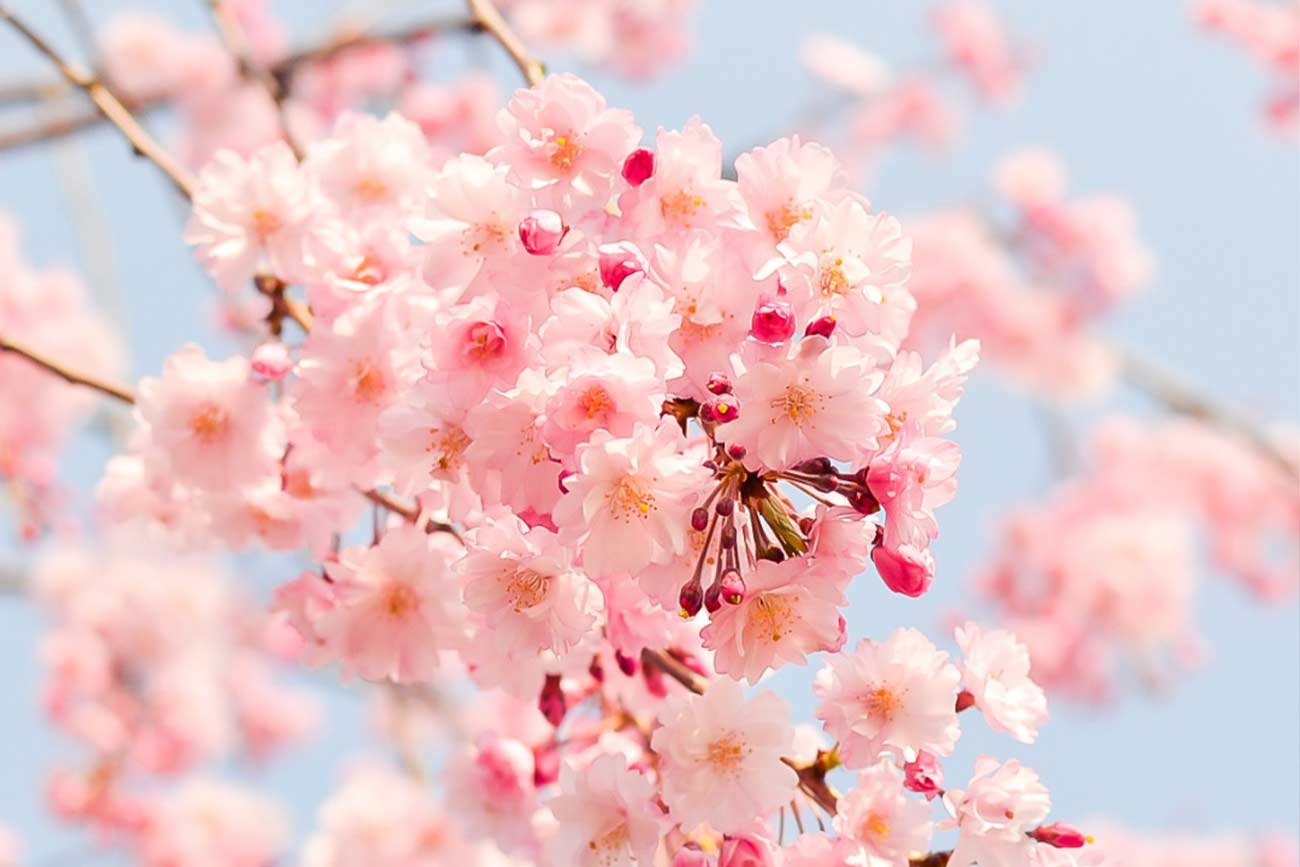 photo-zao-site-naturelle